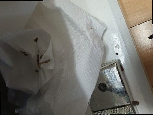 김포 대곶면 하수구막힘 싱크대 연결관 막힘 현장에서 확인한 진단 신호 5가지